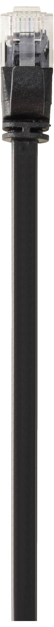 A black Ethernet cable with a transparent RJ-45 connector at the end.