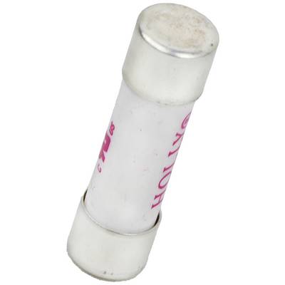 A white glass fuse with metallic end caps, commonly used in electronic devices to protect against voltage surges.