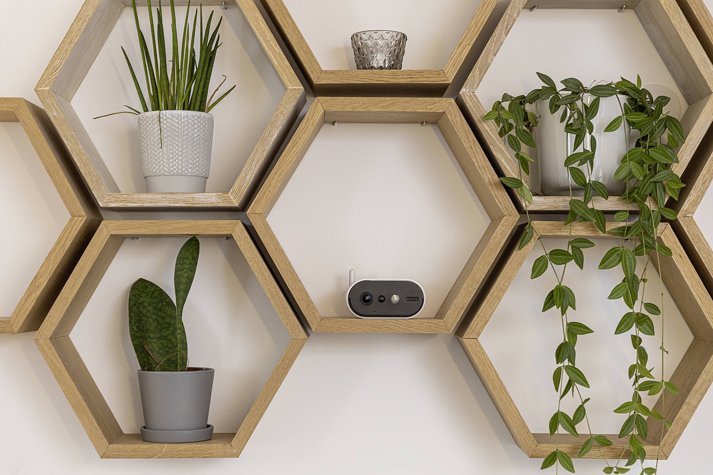 Wooden honeycomb-shaped shelving unit with plants and a small black speaker. Contains succulents and a hanging plant.