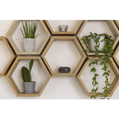 Wooden honeycomb-shaped shelving unit with plants and a small black speaker. Contains succulents and a hanging plant.