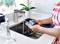 A person is washing cutlery in a sink under running water with a sponge, with potted plants in the background.