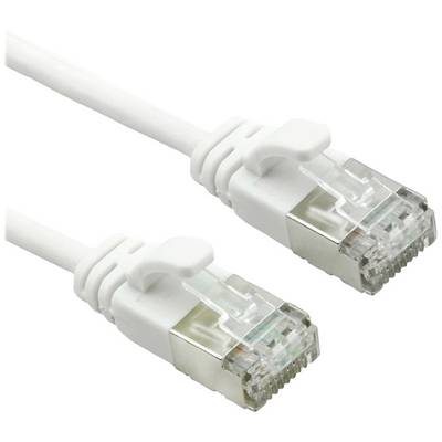 Two white Ethernet cables with RJ45 connectors, suitable for networks and internet connections.