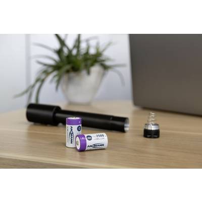 Batteries and a dismantled torch on a table, with a green plant and a blurred laptop in the background.