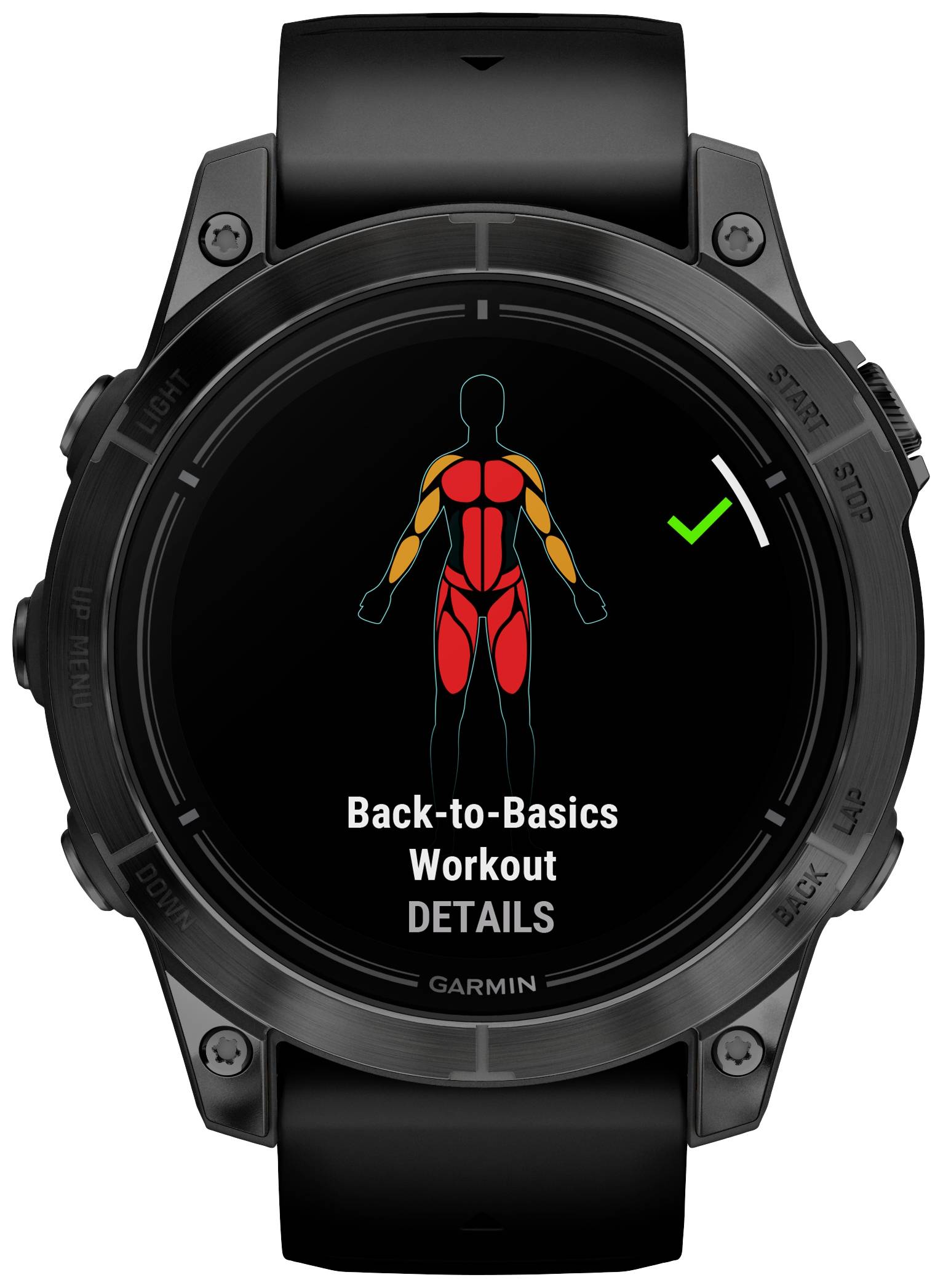 A smartwatch displays a 'Back-to-Basics' training programme focusing on upper body and leg muscles in red and orange.