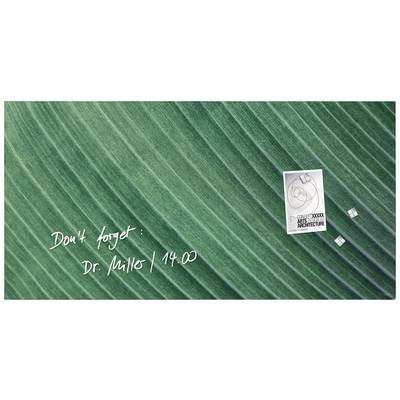 Sigel Glass board (magnetic) Artverum Palm Leaf (W x H) 91 cm x 46 cm Green GL371
