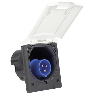 Socket with hinged cover, IP44 protection rating, suitable for outdoor use, blue power connection visible.