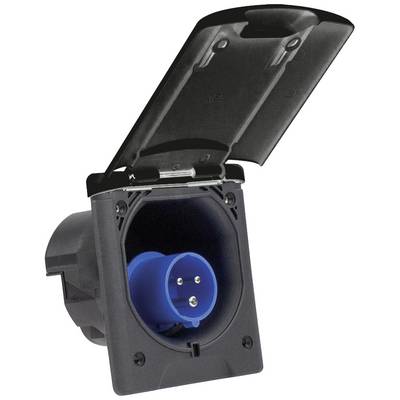 Black socket with open cover and blue earthed plug connection, wall-mounted, suitable for outdoor use.