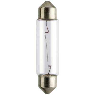 A glass fuse with metal end-caps, showing a continuous wire inside, used to protect electrical devices.