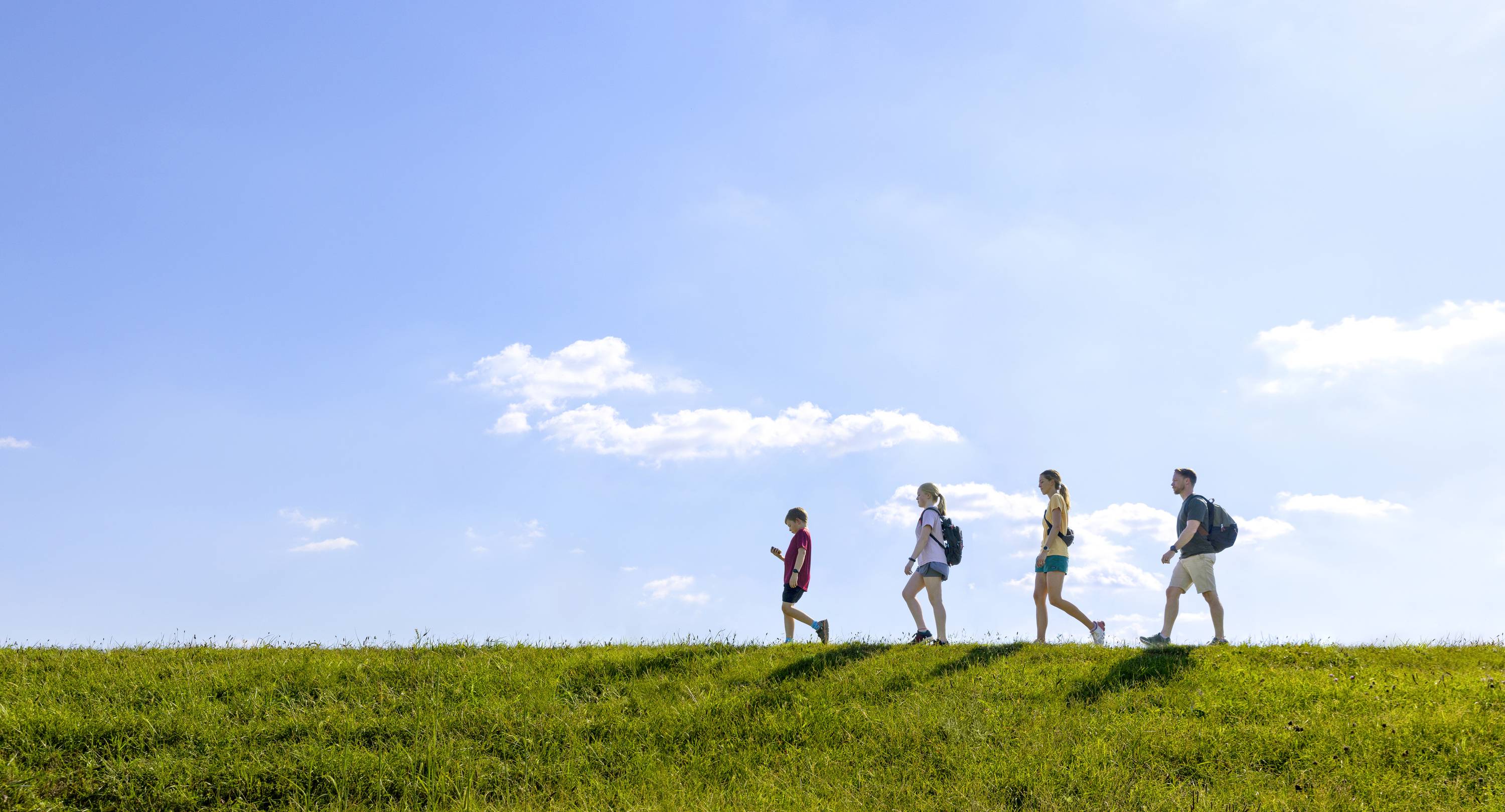 Four people are walking one behind the other across a green meadow under a clear, blue sky.