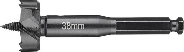 DEWALT DT4579-QZ Forstner bit     1 pc(s)