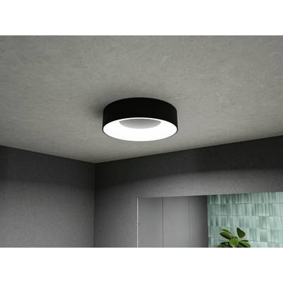 A circular, modern ceiling light illuminates a room. The walls are grey, and a plant is visible in the corner.