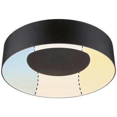 Ceiling light with a round, black body and two-colour illumination; left side blue, right side yellow, separated by a dashed line.