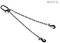 A chain sling with two chain legs, each with a hook at the end. A metal ring connects the legs at one end.