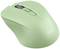 Wireless computer mouse in pastel green with scroll wheel and left-side button. 'Trust' brand name printed.