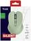 Trust wireless mouse, 'Mydo Silent' model, in green design. Packaging highlights features such as 10m range and silent buttons.
