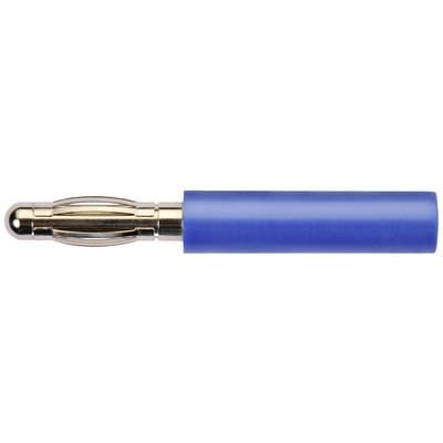 A blue ballpoint pen with a gold tip, positioned horizontally.