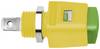 Schützinger Spring-loaded terminal Green-yellow 16 A 1 pc(s) Piece