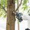A person wearing a white shirt is cutting a tree trunk with a blue chainsaw in a green, wooded area.