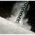 Drill penetrates concrete, dust cloud forms.