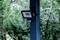Motion sensor security light on a post, surrounded by green foliage, for outdoor area surveillance.