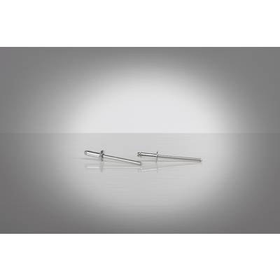 Two silver rivets are lying parallel on a gleaming, reflective surface against a grey background.