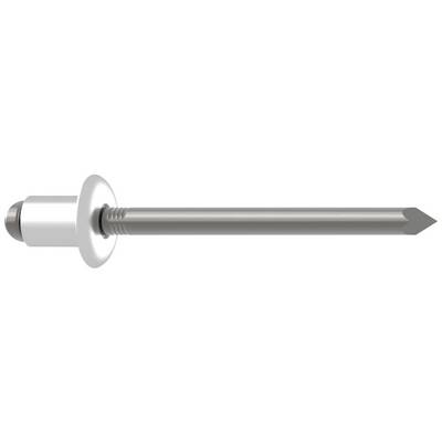 A silver pop rivet with a rounded head and cylindrical shaft, ready for use in construction projects or repairs.