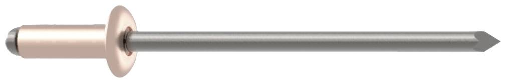 Blind rivet in side view with silver shaft and copper-coloured head.