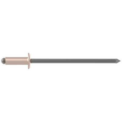 Blind rivet with copper head and black steel shaft, shown from the side.