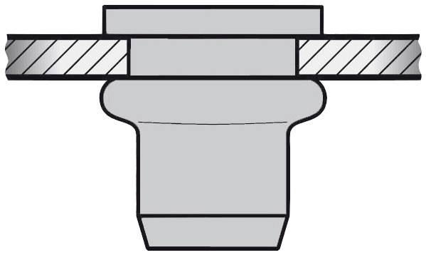 Cross-section of a technical castellated nut with screw thread. The drawing illustrates the internal and external structure to demonstrate the design.