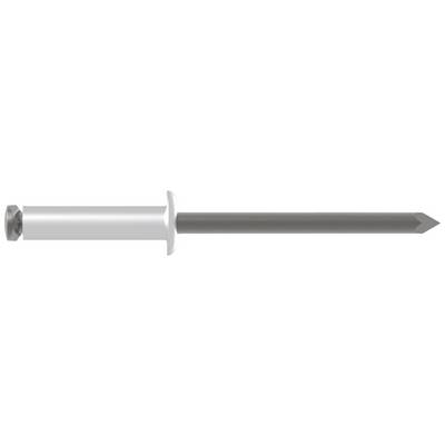 'Rivet with head, pin and neck, a typical fastening element in metalworking for permanent connections.'