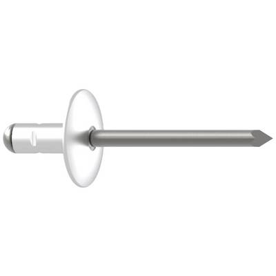 A silver pop rivet, comprising a pin and a hollow rivet, is used for connecting materials.
