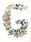 A variety of multi-coloured metal pins and rivets are arranged on a white background to form the shape of a large letter 'G'.