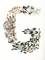A collection of colourful, mixed pens and screws arranged on a white background in the shape of a large "G".