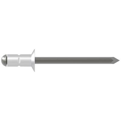 A metal screw with a rounded head and sharp end lies horizontally, with the head on the left.