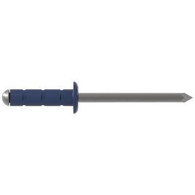 A blue plastic wall plug with a metallic nail is shown horizontally. It is commonly used for fixing items to walls.