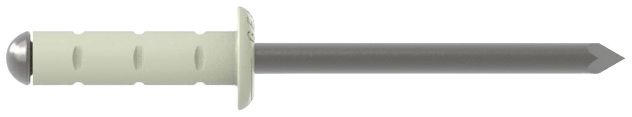 A wallplug with a plastic sleeve and metal pin, suitable for fixings in solid materials such as concrete or brick.