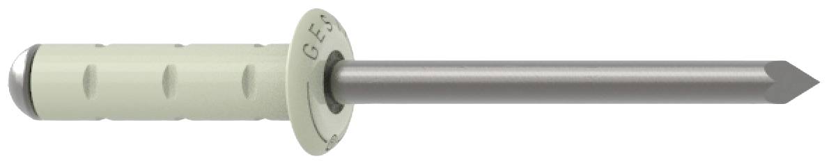 A grey nail with a wall plug, consisting of a plastic sleeve and a metal pin, with the tip oriented to the right.