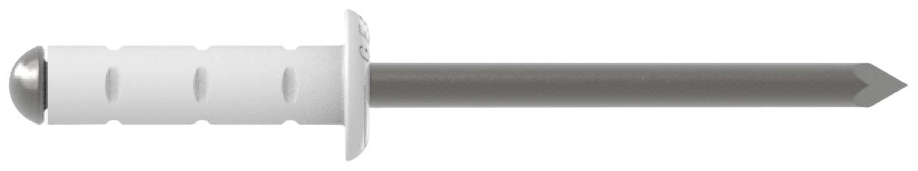 A metal nail with a white plastic wall plug, shown from the side.