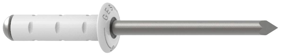 A grey wall plug with a white plastic wall plug on the left and a pointed metal nail on the right, for fixing into solid materials.