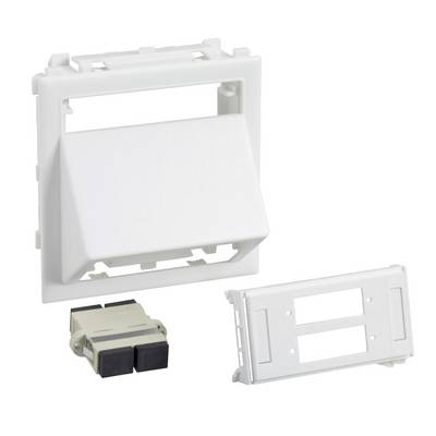 White covers and a plug mechanism for cable connections. Designed for wall mounting, ideal for IT network installations.