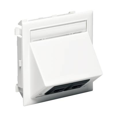 Schneider Electric Network socket
