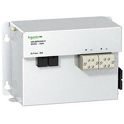 Metal enclosure of an electrical switchgear unit with fuses and connections, bearing the 'Schneider Electric' logo.