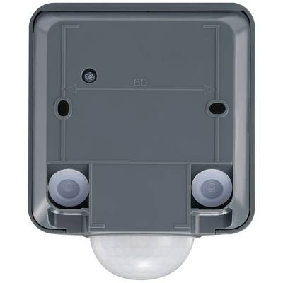 Square motion sensor in a dark grey housing with two sensors and a recognisable dome on the underside.