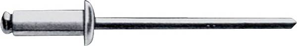 Gesipa 1454627 Blind rivet   Steel Steel Steel  250 pc(s)