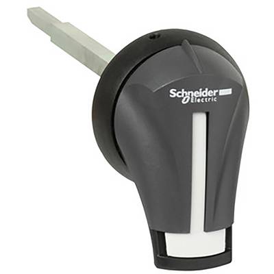 Schneider Electric GS2AH310  Isolator switch accessories     1 pc(s) 
