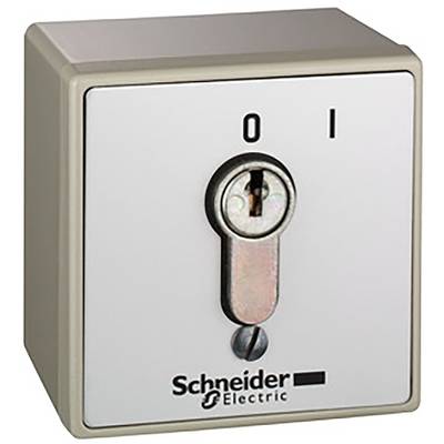 Schneider Electric  Controller enclosure     1 pc(s) 