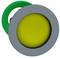 A grey button with a yellow inner area, surrounded by a green ring.