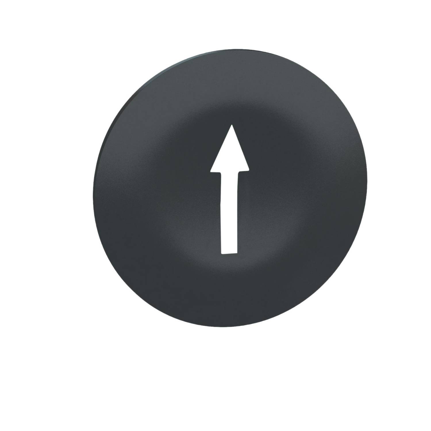 A black circle with a white arrow pointing upwards.