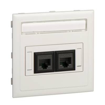 Double network socket with two RJ45 ports, suitable for structured cabling in office environments.