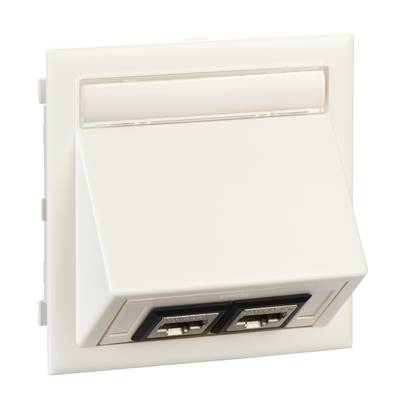Double socket for telephone or network cables on a white wall.